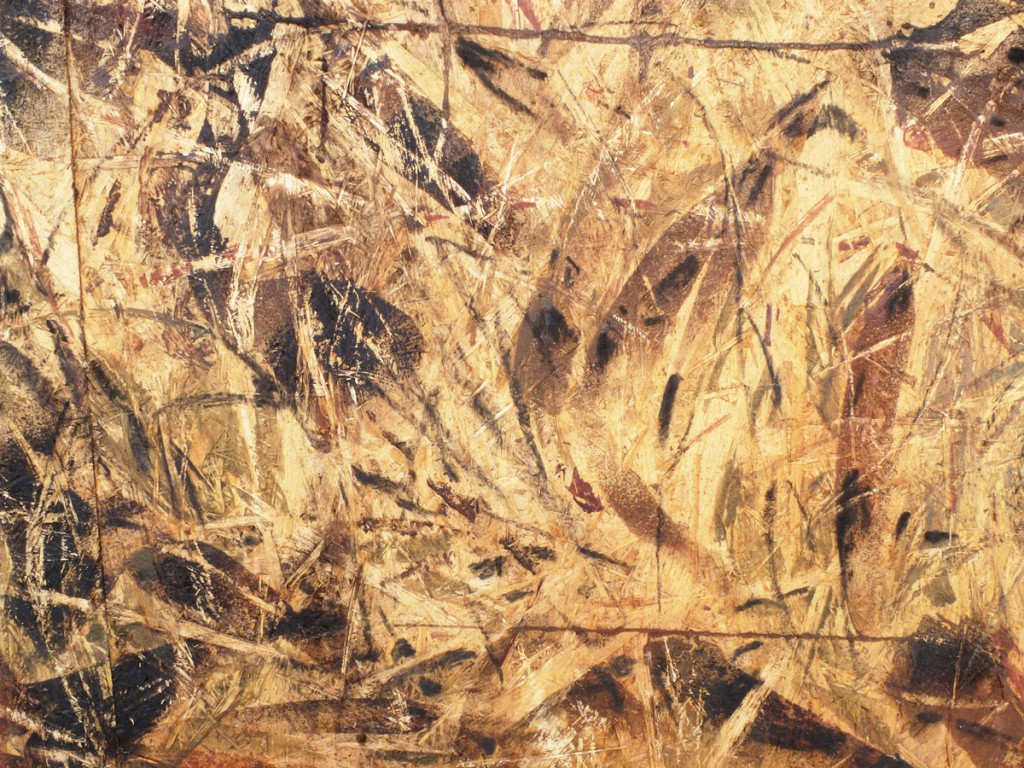 Detail (o.T., 2011, Mischtechnik auf Grobspanplatte, 205 x 203 cm) | detail (untitled, 2011, mixed media on OSB, 205 x 203 cm)
