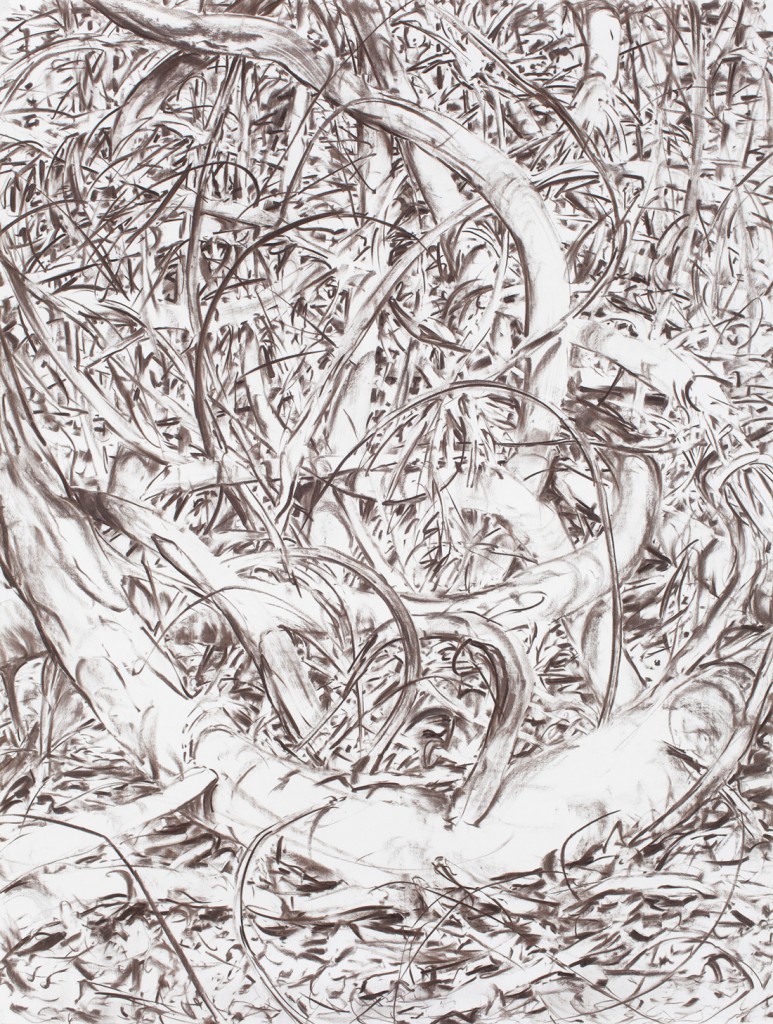 o.T., 2015, Kohle auf Papier, 200 x 151 cm | untitled, 2015, charcoal on paper, 200 x 151 cm