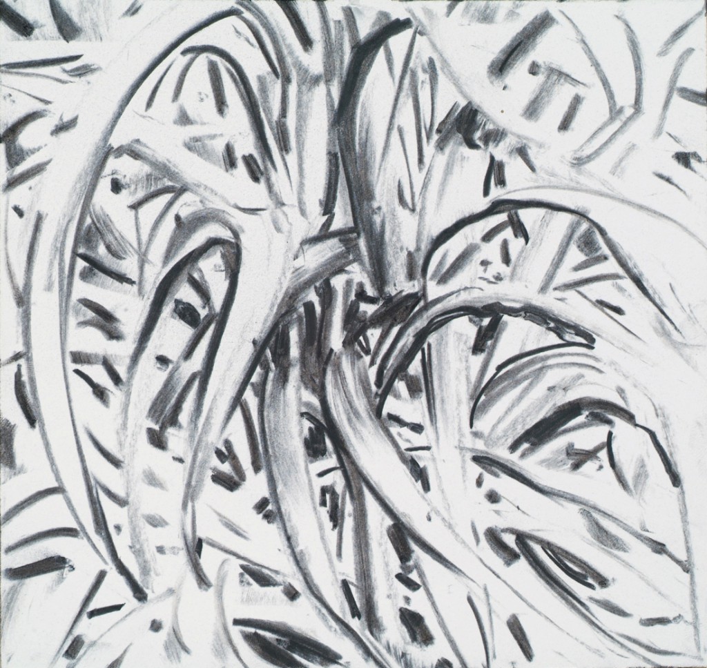 o.T., 2013, Kohle auf Papier, 20 x 21 cm | untitled, 2013, charcoal on paper, 20 x 21 cm