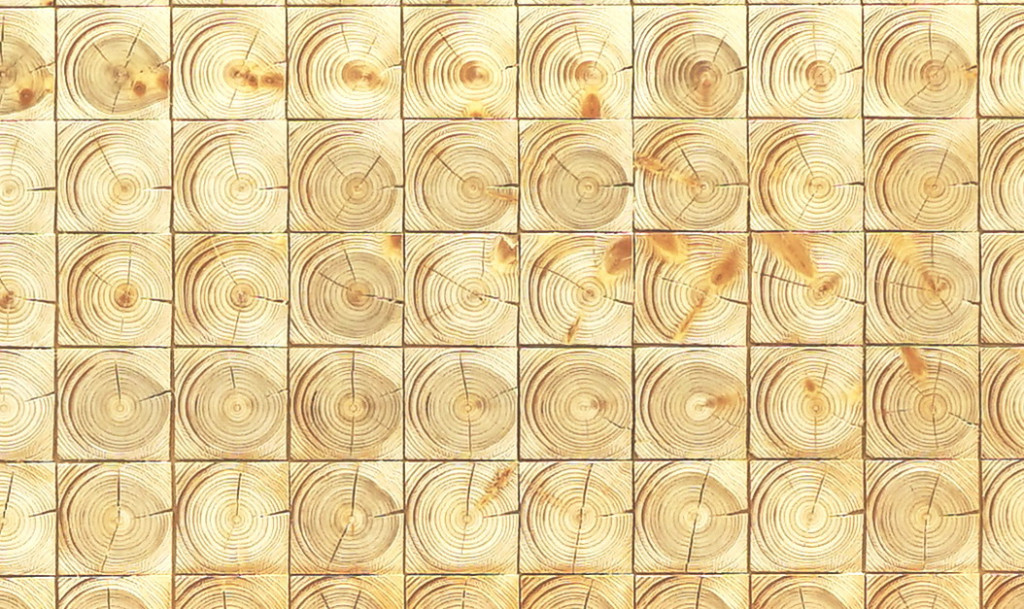 Detail (Chronolog, 2022, Kreide, Leinölfirnis und Bleistift auf Holz, 189 x 150,5 cm) | detail (Chronolog, 2022, chalk, linseed oil varnish and pencil on panel, 189 x 150.5 cm)  Chronolog, 2022, chalk, linseed oil varnish and pencil on panel, 189 x 150.5 cm