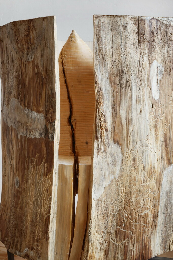 Detail (Oros, 2019/20, Erdstammstück auf Stahl, 168 x 117 x 83 cm) | detail (Oros, 2019/20, tree trunk piece on steel, 168 x 117 x 83 cm)