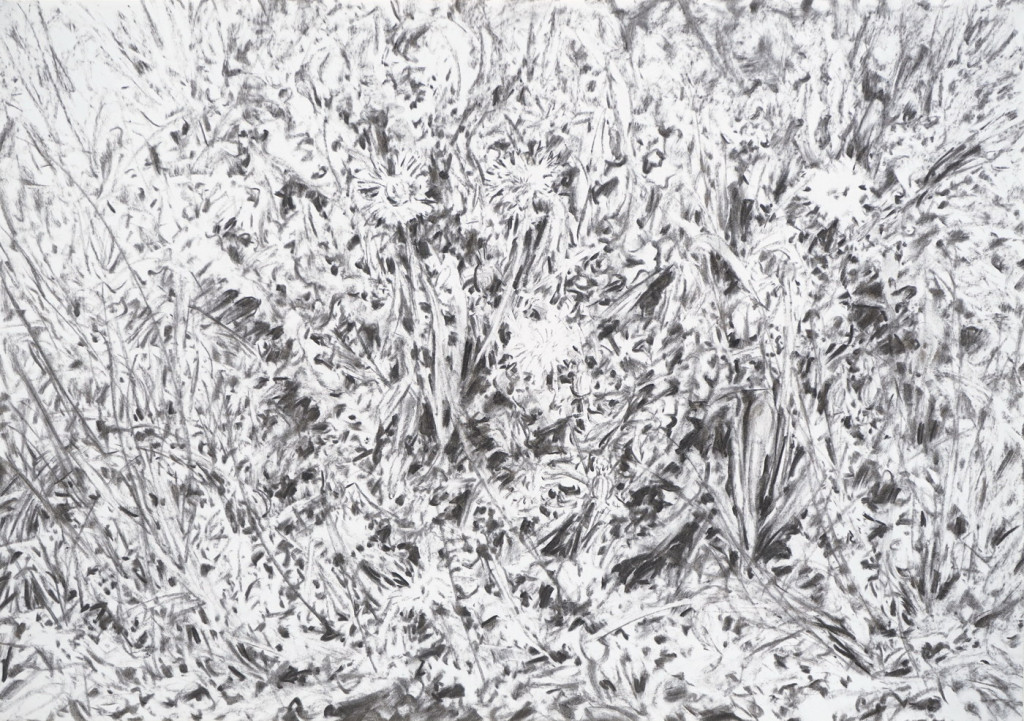 o.T., 2023, Kohle auf Papier, 43 x 61 cm | untitled, 2023, charcoal on paper, 43 x 61 cm