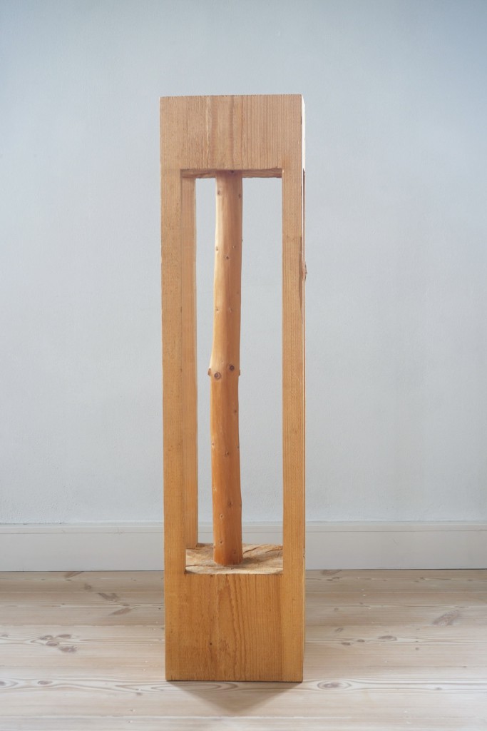 Kerngehäuse, 2005, Vierkant, 128,5 x 31 x31 cm | Core, 2005, square timber, 128,5 x 31 x 31 cm