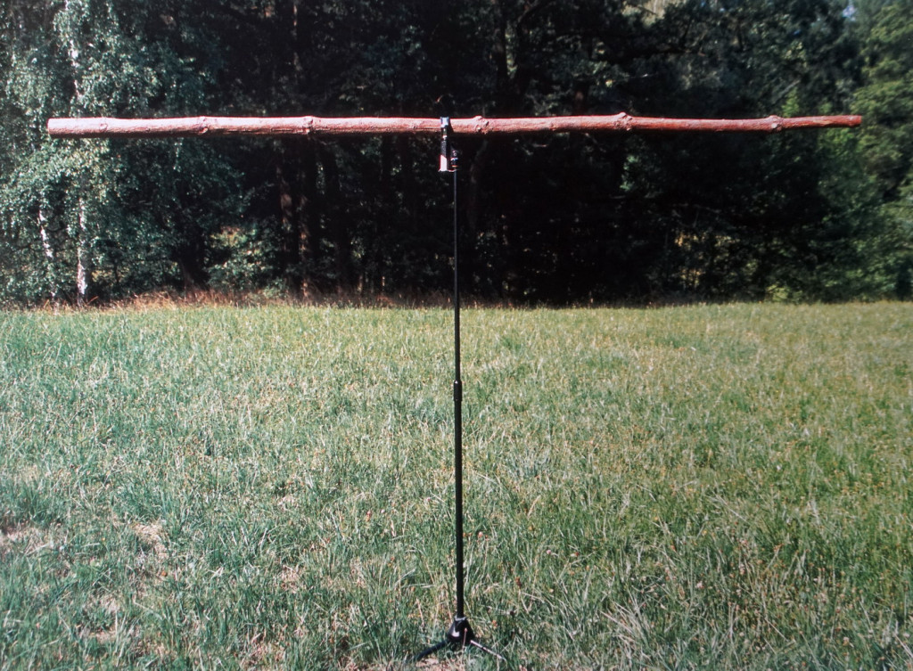 Piceaskop, 2002, Fichtenstange, 249 x ø 3,5-6 cm  | Piceaskop, 2002, young spruce, 249 x ø 3,5-6 cm