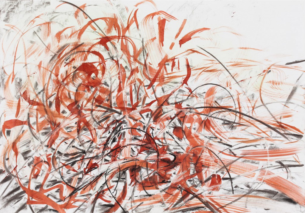o.T., 2015, Tusche, Kohle und Kreide auf Papier, 70,2 x 100,5 cm | untitled, 2015, ink, charcoal and crayon on paper, 70,2 x 100,5 cm