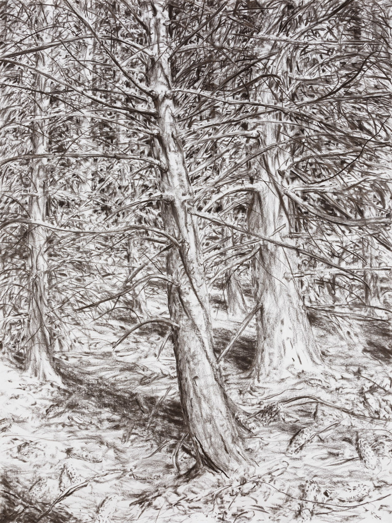 o.T., 2021, Kohle auf Papier, 200 x 151 cm | untitled, 2021, charcoal on paper, 200 x 151 cm