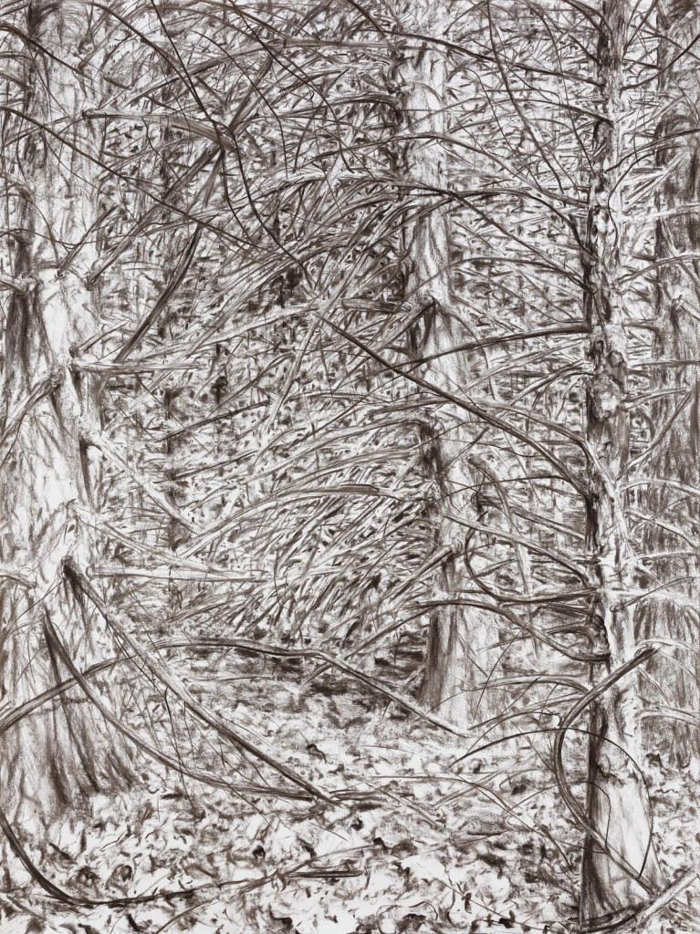 o.T., 2021, Kohle auf Papier, 200 x 151 cm | untitled, 2021, charcoal on paper, 200 x 151 cm