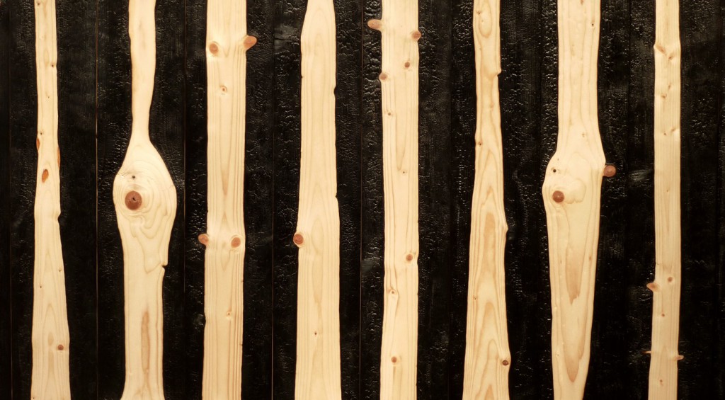 Detail (Waldbrand, 2016, Tafel aus 28 Brettern, partiell verkohlt, ca. 300 x 504 cm) | detail (forest fire, 2016, panel of 28 boards, partially burnt, about 300 x 504 cm)